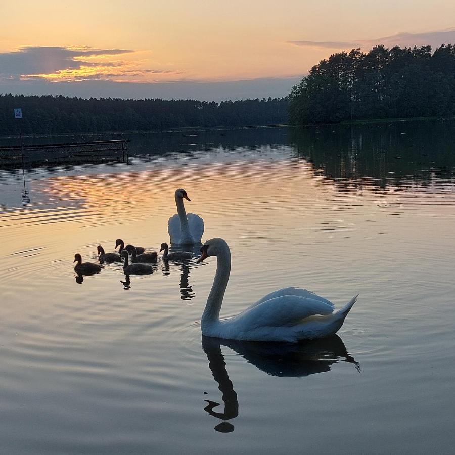Domek Letniskowy U Marcina I Ani Borsk Exterior foto