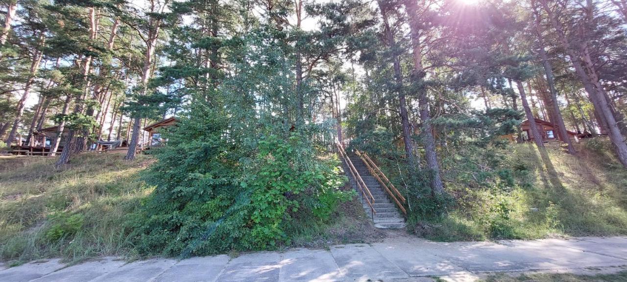 Domek Letniskowy U Marcina I Ani Borsk Exterior foto